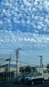 「ウッドショック」の影響について