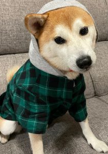 ＊注文住宅お悩み相談会開催＊