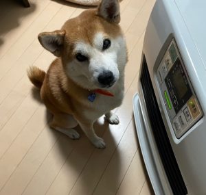 ＊土日空き状況と冬期休業のお知らせ＊