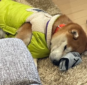 ＊新年のご挨拶と2022年改正について＊