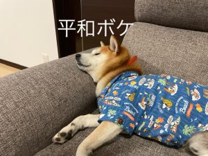 ＊不動産部リニューアルのお知らせ＊