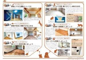 ☘︎☘︎愛猫との暮らし☘︎☘︎