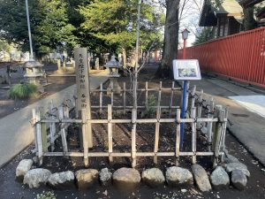 矢部の氏神様”村富神社”